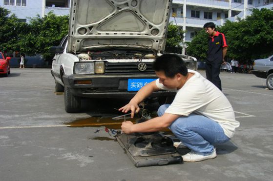 比赛起来一丝不苟.jpg